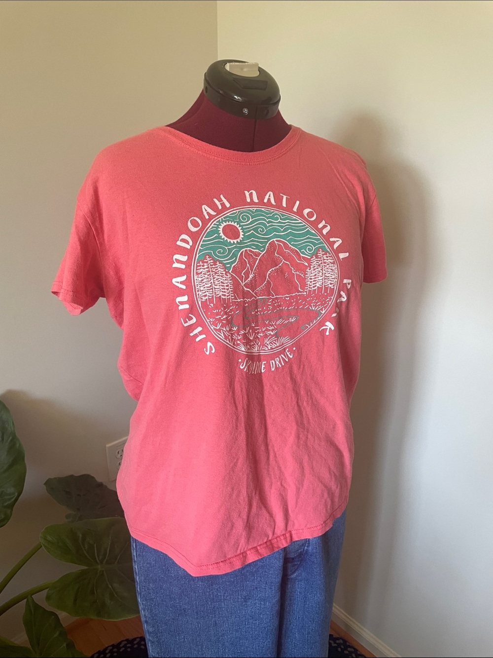 v i n t a g e :: Shenandoah National Park Graphic Virginia Tee skyline Drive